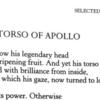 Archaic Torso of Apollo